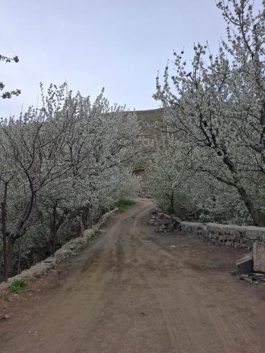 عکس روستای سنگان