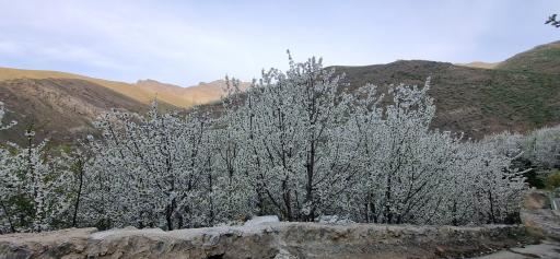 عکس روستای سنگان