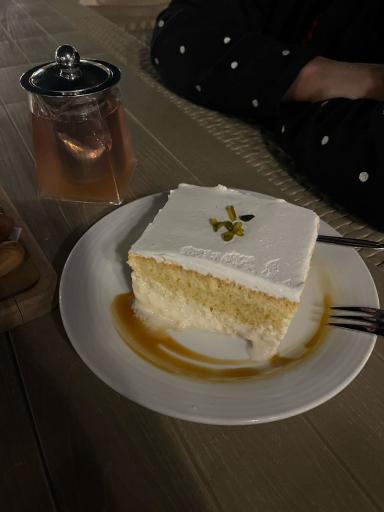 هتل کاروانیکا