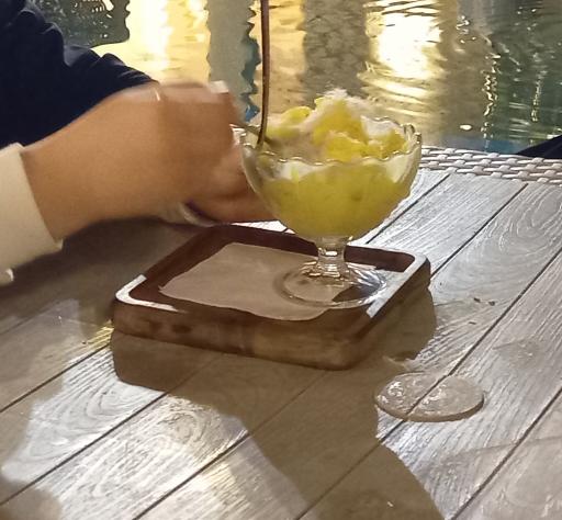 عکس هتل کاروانیکا