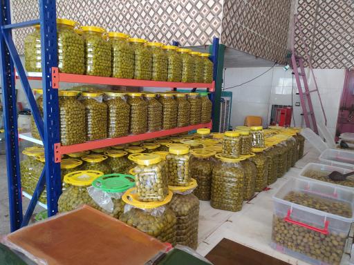 عکس زیتون سرای فارس