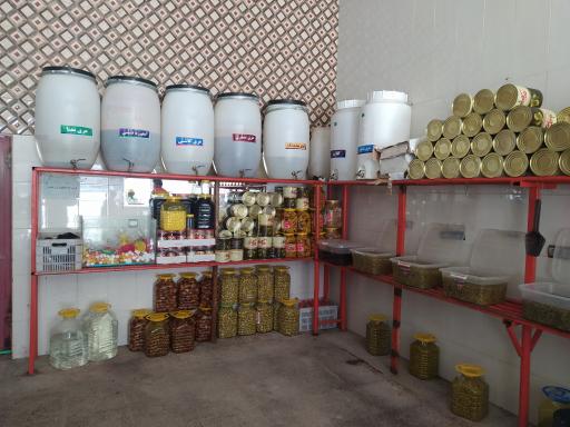 عکس زیتون سرای فارس