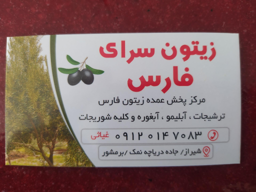 عکس زیتون سرای فارس