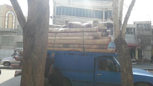 عکس قالیشویی مرکزی