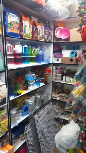 عکس پت شاپ بانی