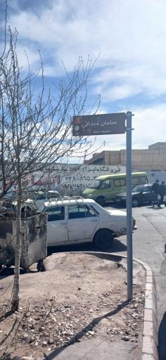 عکس سامان میدانی