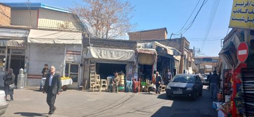 عکس سامان میدانی