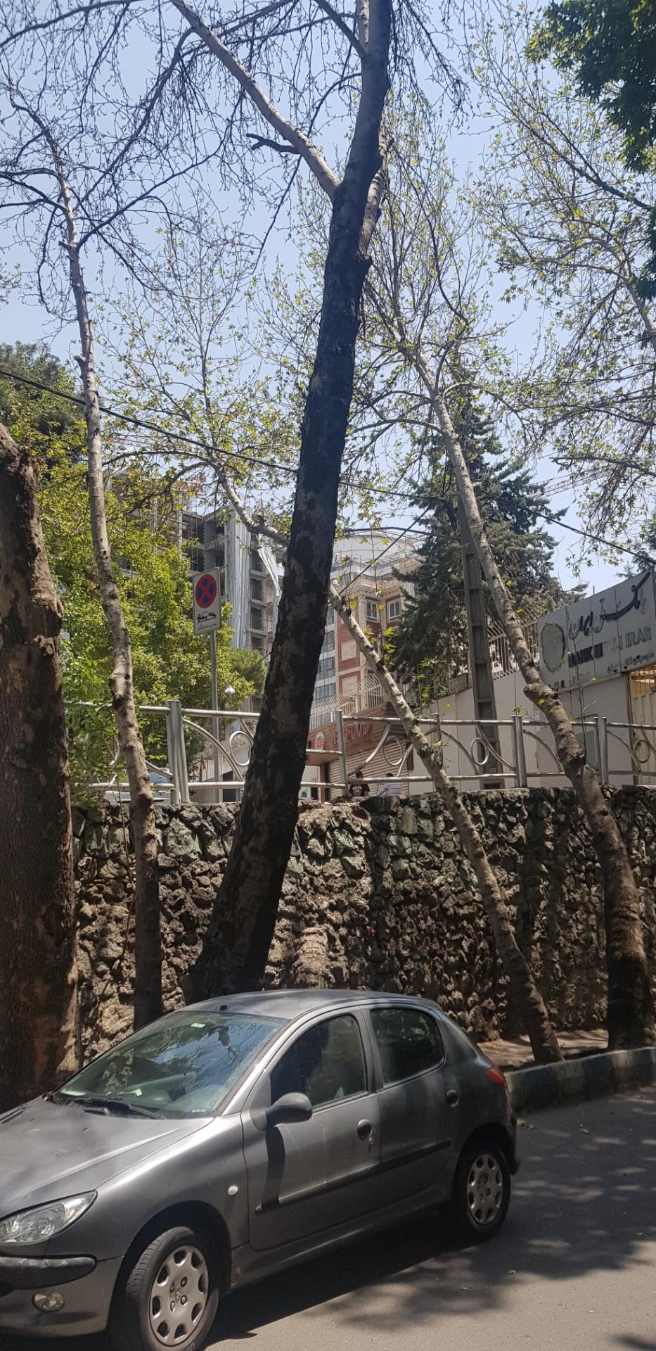 عکس مجتمع قضایی شمیران