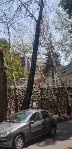 عکس مجتمع قضایی شمیران