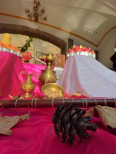 عکس عکاسی نگارستان