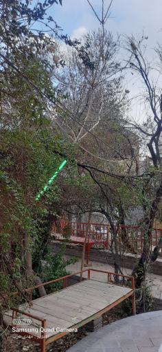 عکس گلاب کعبه