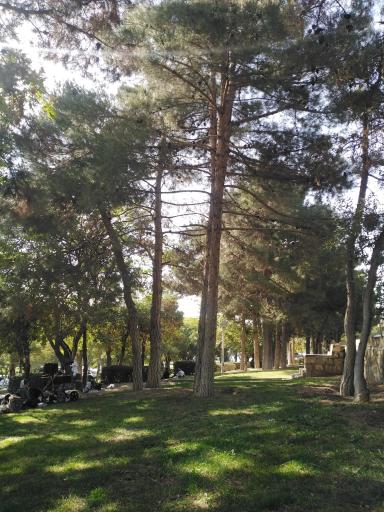 عکس پارک سیفیه ملایر هزار پله