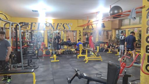 عکس باشگاه بدنسازی صبا