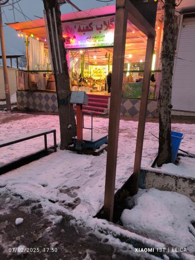 عکس گلاب کعبه