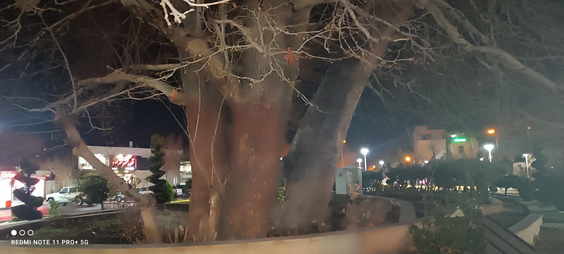 عکس میدان قیام (چنار سوخته)