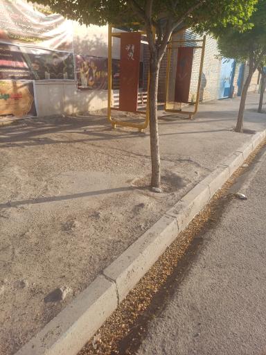 عکس امام رضا  9