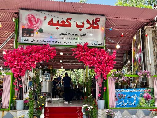 عکس گلاب کعبه