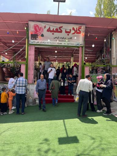 عکس گلاب کعبه