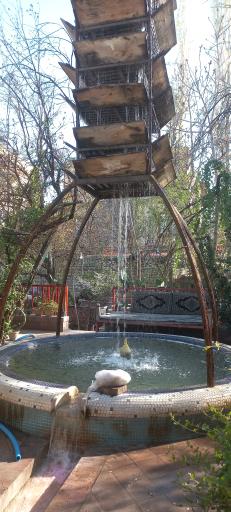 عکس گلاب کعبه