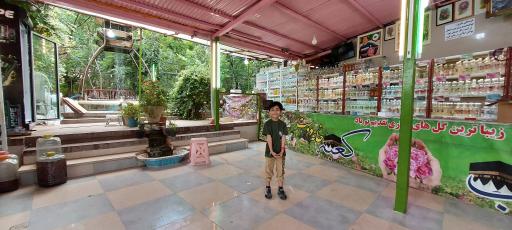 عکس گلاب کعبه