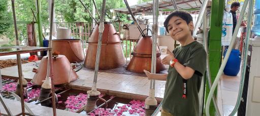 عکس گلاب کعبه