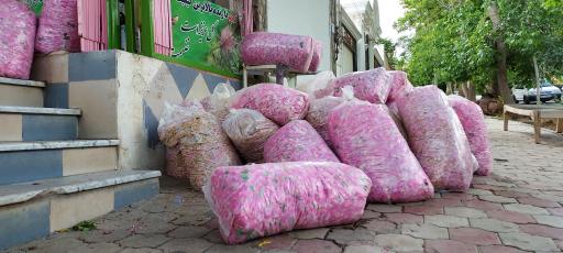 عکس گلاب کعبه