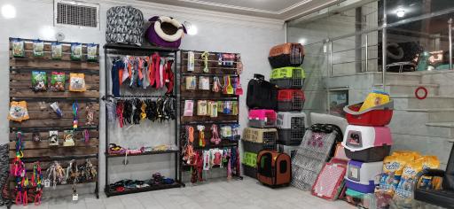 عکس کلینیک دامپزشکی دکتر گلستانی 