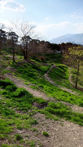 عکس بام چیتگر