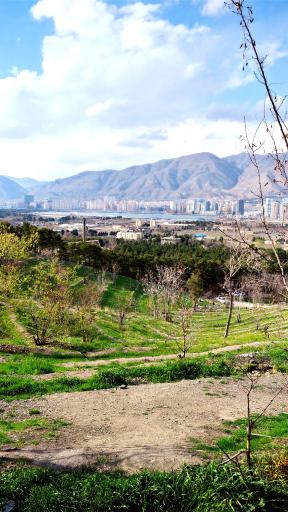 عکس بام چیتگر