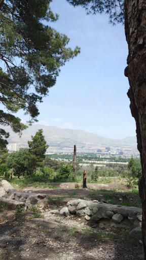 عکس بام چیتگر