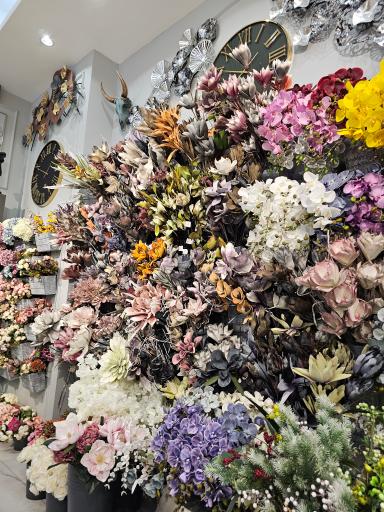 عکس ملودی دیزاین