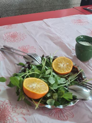 عکس کبابی شبهای خلیج