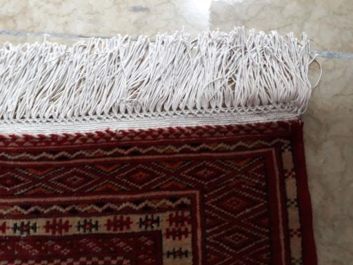 عکس قالیشویی فارسی 