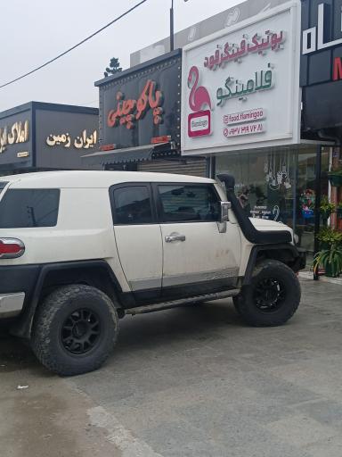 عکس فینگر فود فلامینگو