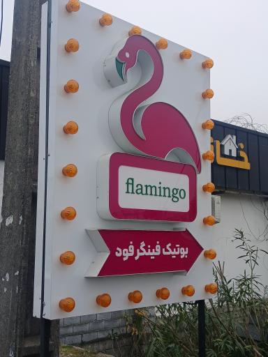 عکس فینگر فود فلامینگو