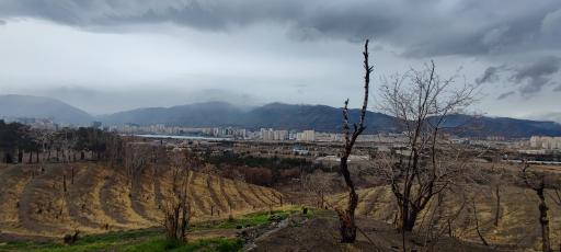 عکس بام چیتگر