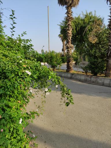 عکس شرکت آب و فاضلاب دزفول