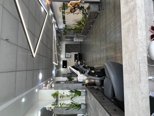 عکس سالن بانوی البرز