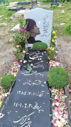 عکس مزار نیکا شاکرمی