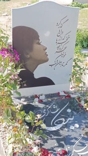 عکس مزار نیکا شاکرمی