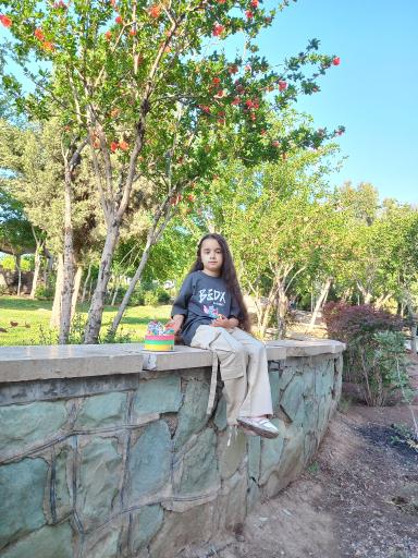 عکس کوهسار پرند