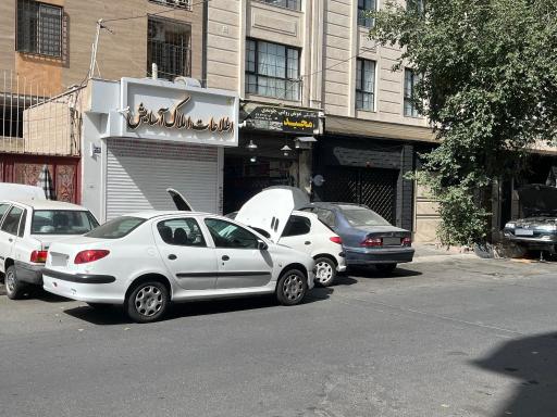 عکس تعویض روغنی ولیعصر