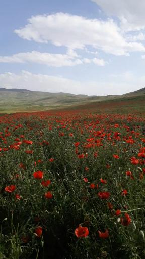 عکس کلاته سهراب