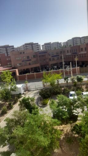 عکس مجتمع میرزای شیرازی