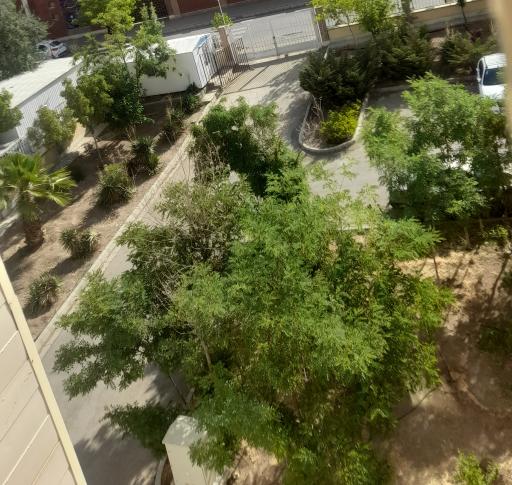 عکس مجتمع میرزای شیرازی