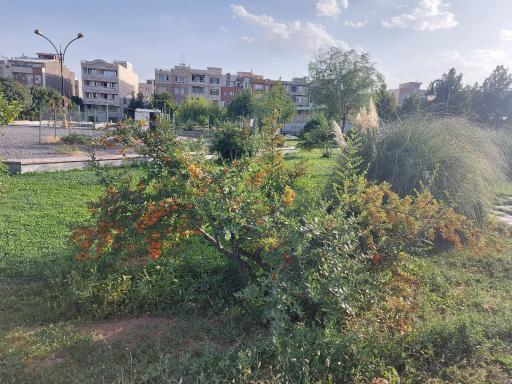 عکس پارک دانشجو