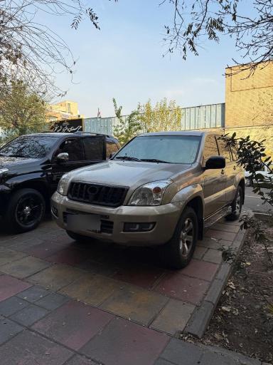 عکس آرون کار