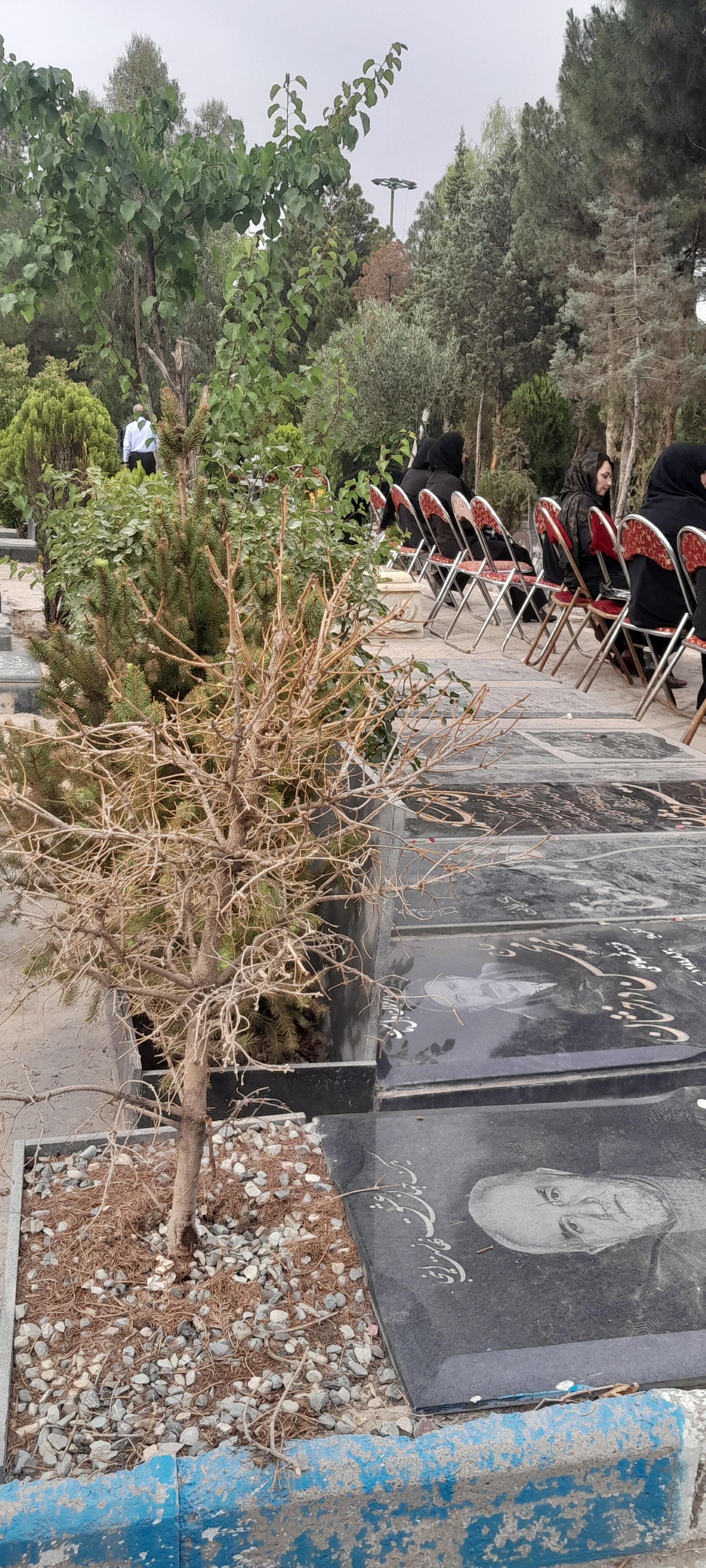 عکس بهشت رضوان