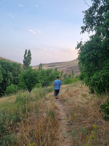 عکس شاه تپه