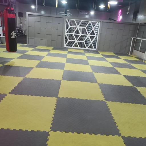 عکس باشگاه ورزشی مخصوص بانوان فدک